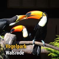 Vogelpark Walsrode